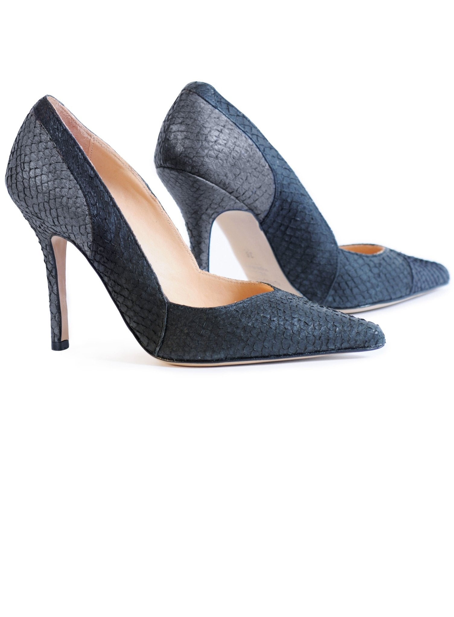 HAZUSA - ALINASCHUERFELD